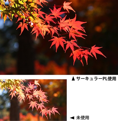 Kenko Camera Filter PRO1D Wide Band Circular PL (W) 58mm Contrast rise / reflect - Picture 6 of 6