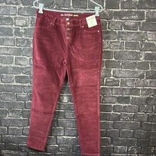 Cat  Jack Girls 16 Plus Skinny Burgundy Corduroy Low-Rise Jeans
