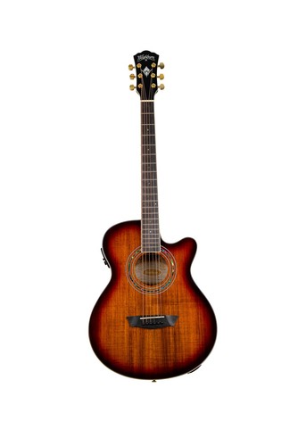 Washburn EA55G-A Festival Series Cutaway Mini Jumbo Acoustic/Electric Guitar.