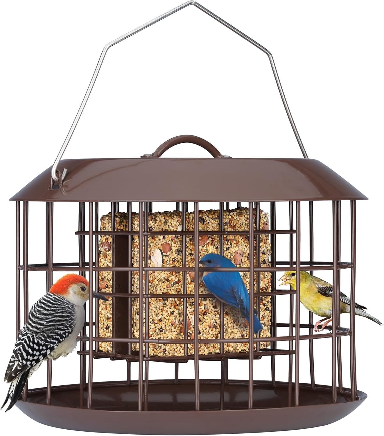 Bird Feeder, Squirrel-proof Suet Feeder, Brown Version