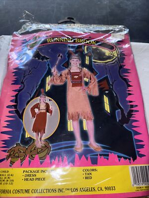 California Costumes Girls Running Brook Indian Girl Halloween Costume LG 10-12