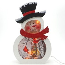 Stony Creek Decorative Lighted Glass Snowy Branches Cardinals 11" Snowman DCC45B