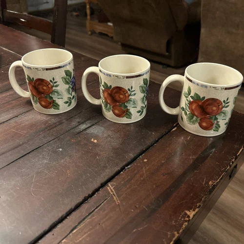 Sakura by Oneida/ 10 oz coffee mugs/ Sonoma Excell/ set of 3