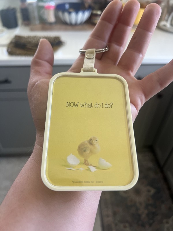 Hallmark VTG 80s Photo Keychain Cute Animal Hatching Chick Now What Do I Do?