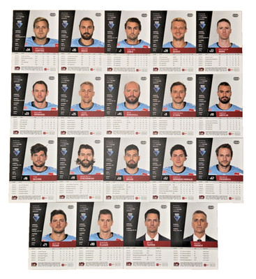 19 x Playercards DEL Saison 2022/23 ERC Ingolstadt