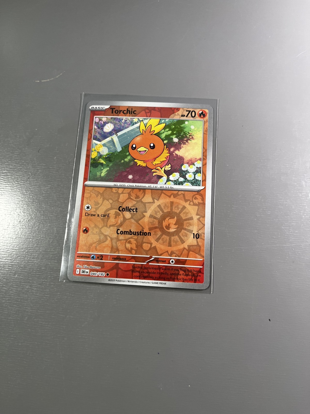 NM Torchic Reverse Holo Common SV10: Destined Rivals 040/182