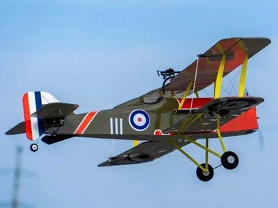 Pichler Royal Aircraft S.E.5a / 1000 mm