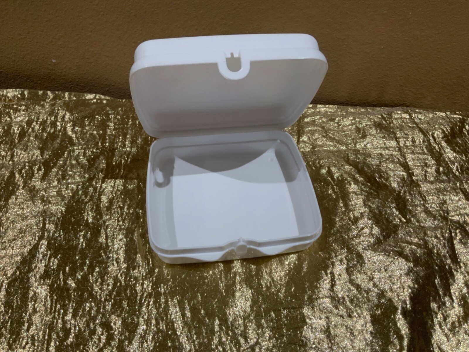 New Tupperware Sandwich Keeper in a Bright and Beautiful Woman of Today Theme