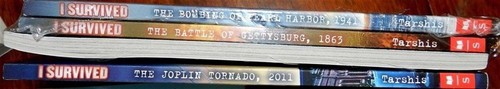 Book Set: I Survived Series 4 Books Grades 2-5 New Gift - Picture 2 of 3