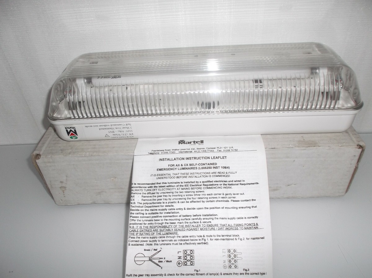 Martell AX/8/NM3/110V 8W Maintained Luminaire UK
