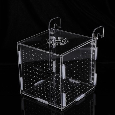 Durable Transparent Acrylic Hatching Box Fish Tank Incubator for Juvenile Fish