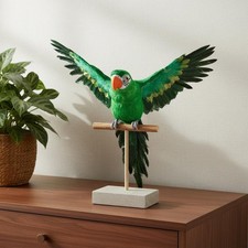 Feather Parrot Decoration Stage Stage Prop Lifelike Parrot Figurine for Home