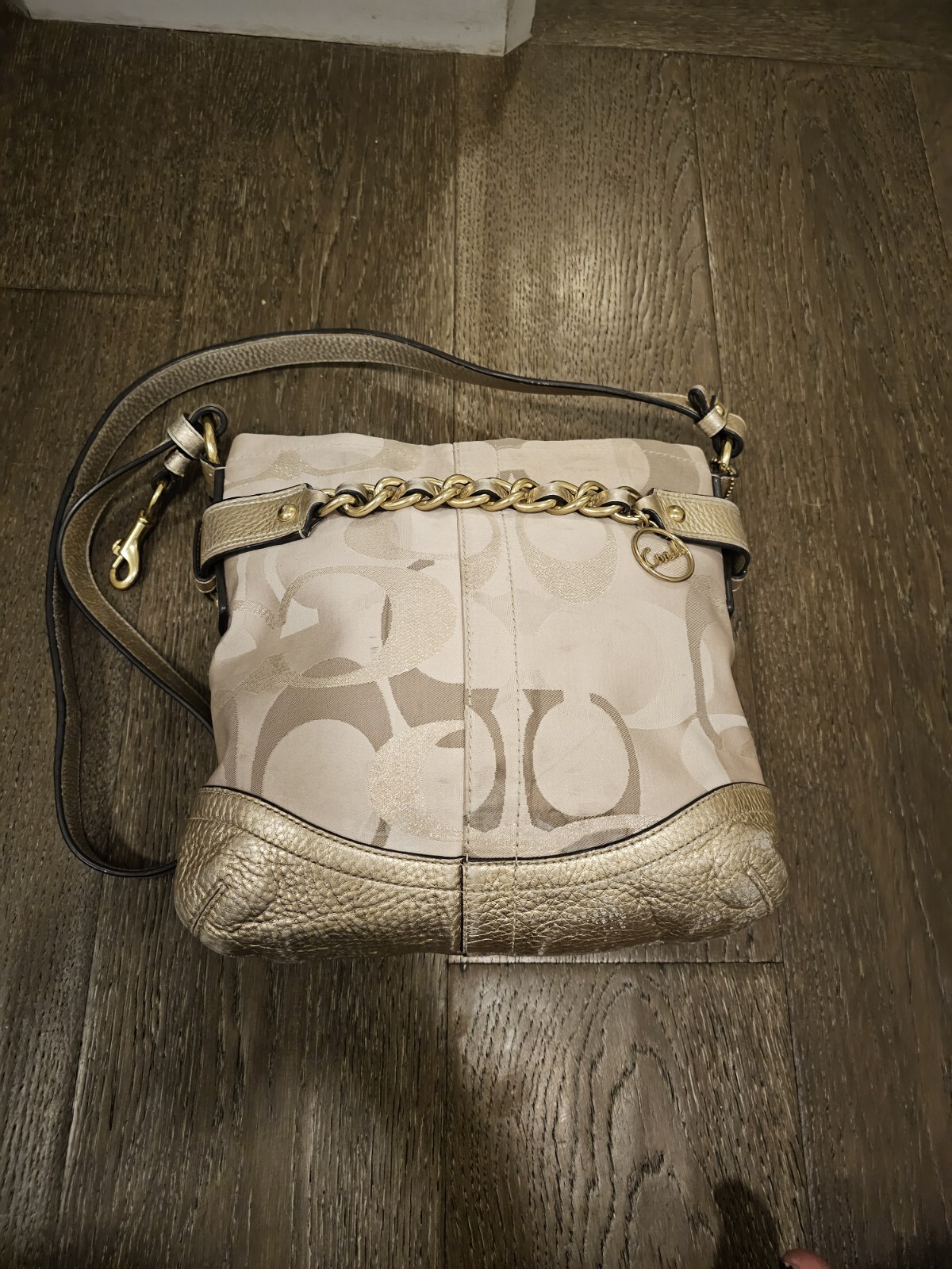 Coach Gold Signature Metallic Shoulder Bag F19820 Gem