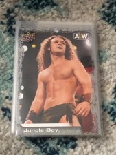 N17 2022 Upper Deck AEW Base Jungle Boy