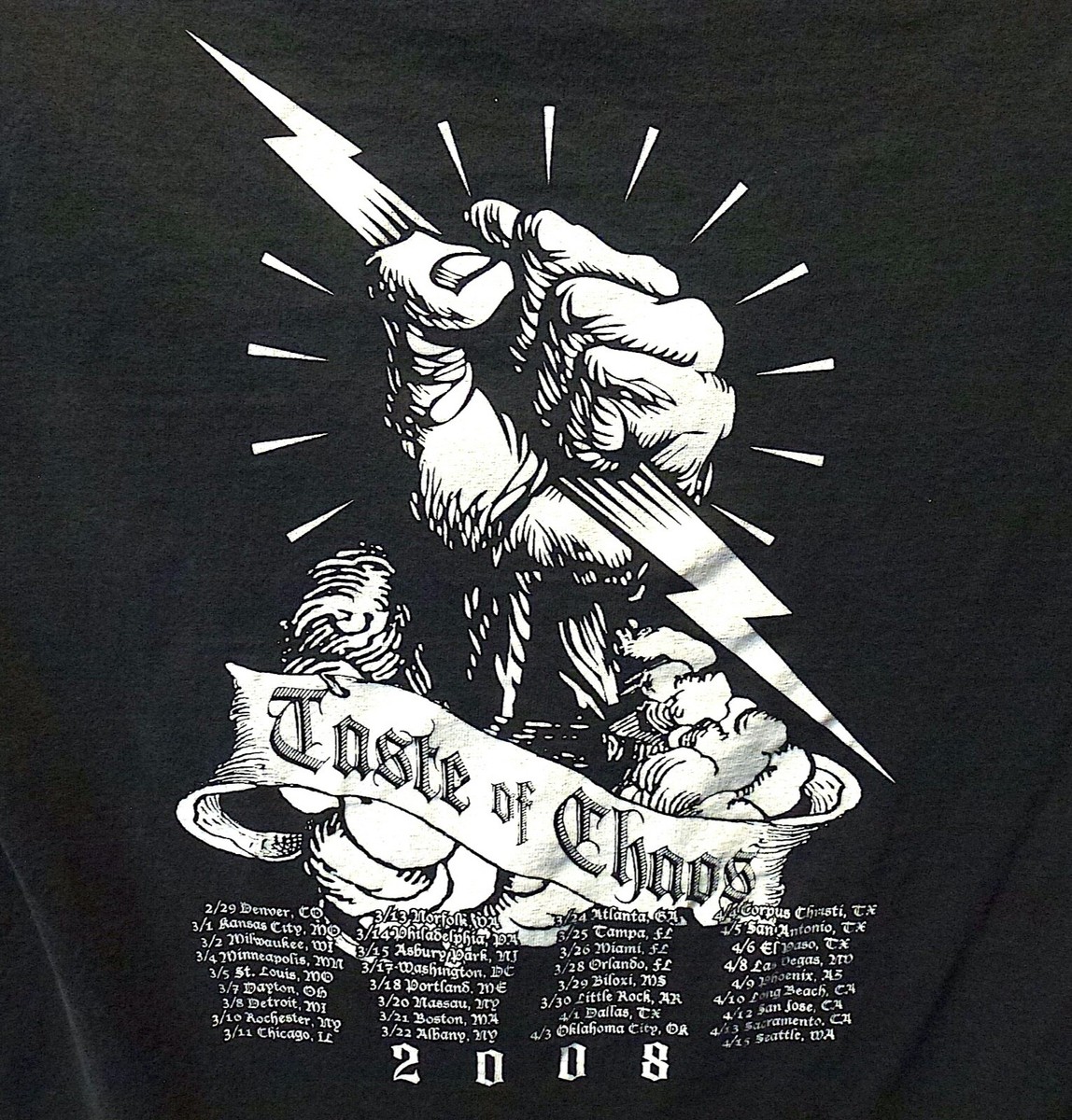 Taste of Chaos 2008 Festival Concert Tour T-Shirt | eBay