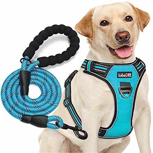 kong no pull harness