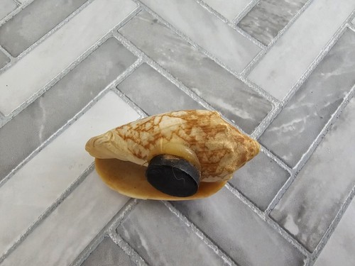 Seashell Magnet for Fridge 2.5" Nautical/Beach - Picture 4 of 4