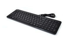 HP BLACK  SILVER USB KEYBOARD MODEL KU-0316