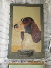  on The Hot Collector