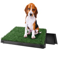 Dog Pet Potty Training Indoor Grass Mat Balcony Porch Puppy Park Mat Pet House Dog Pet Potty Training Indoor Grass Mat Balcony Porch Puppy Park Mat Pet House