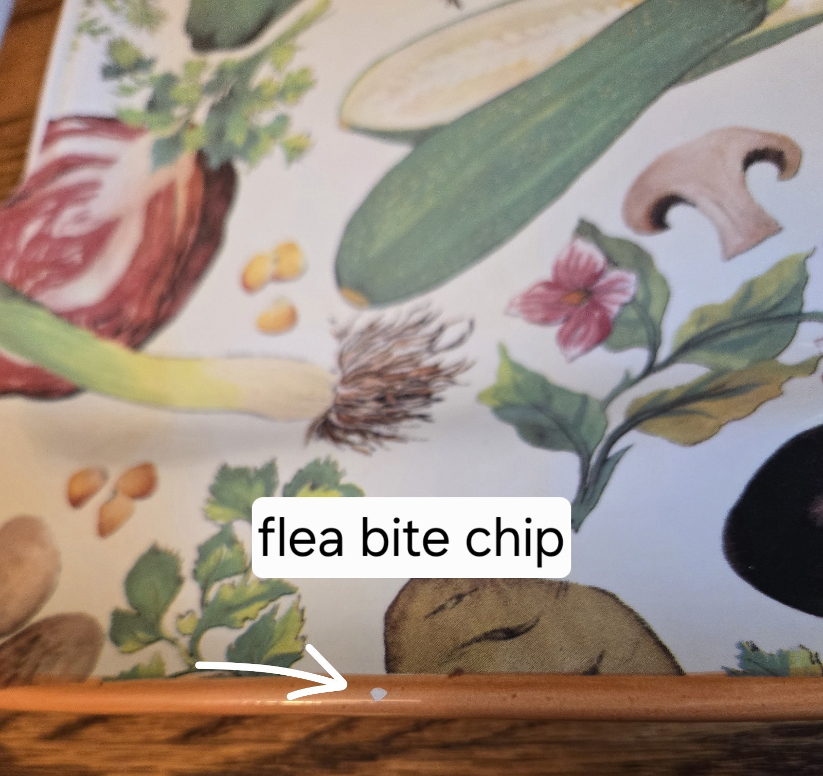 La Primula SRL Made in Italy Signed 17.5 X 13 Inch Tray Colorful Vegetables