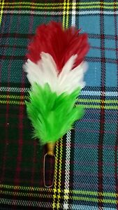 Piume Plume Pettine Rosso Bianco Verde Irlandese Glengarry Cappello Balmoral Ebay