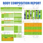 Professional Full Body Fat Analyzer Body Scanner Composition Analysis +Printer