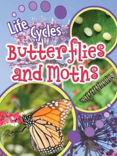 Rourke Educational Media Butterflies and - Paperback, by Lundgren Julie - Good