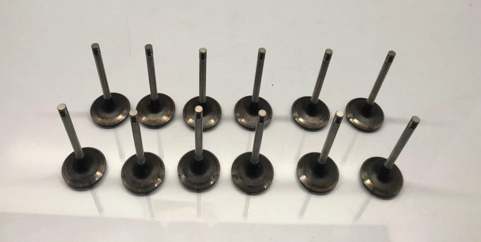 12 X Válvulas de admisión V91418 11131 para BMW 850 i 11341709941 081VE30339000 M70B50 Foto 2 de 4