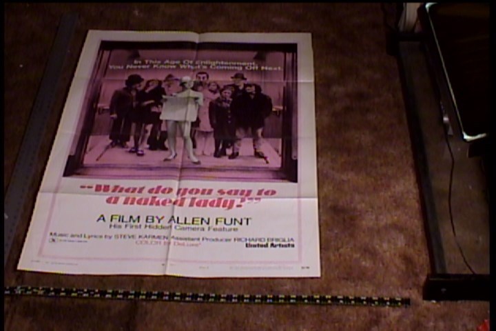 WHAT DO YOU SAY TO A NAKED LADY 1970 ORIG MOVIE POSTER SEXPLOITATION