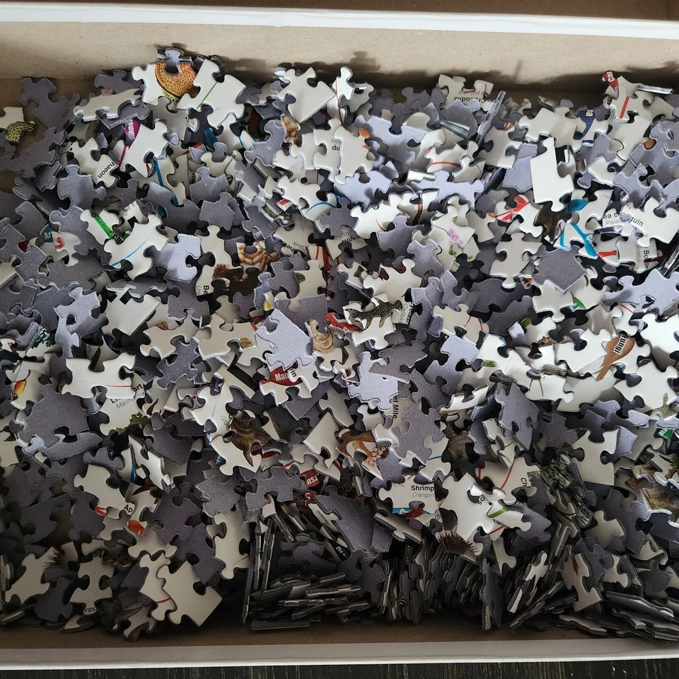 Rompecabezas Eurographics 1000 Piezas Árbol de la Vida Evolución Velocidad Educativa Rompecabezas Foto 2 de 4