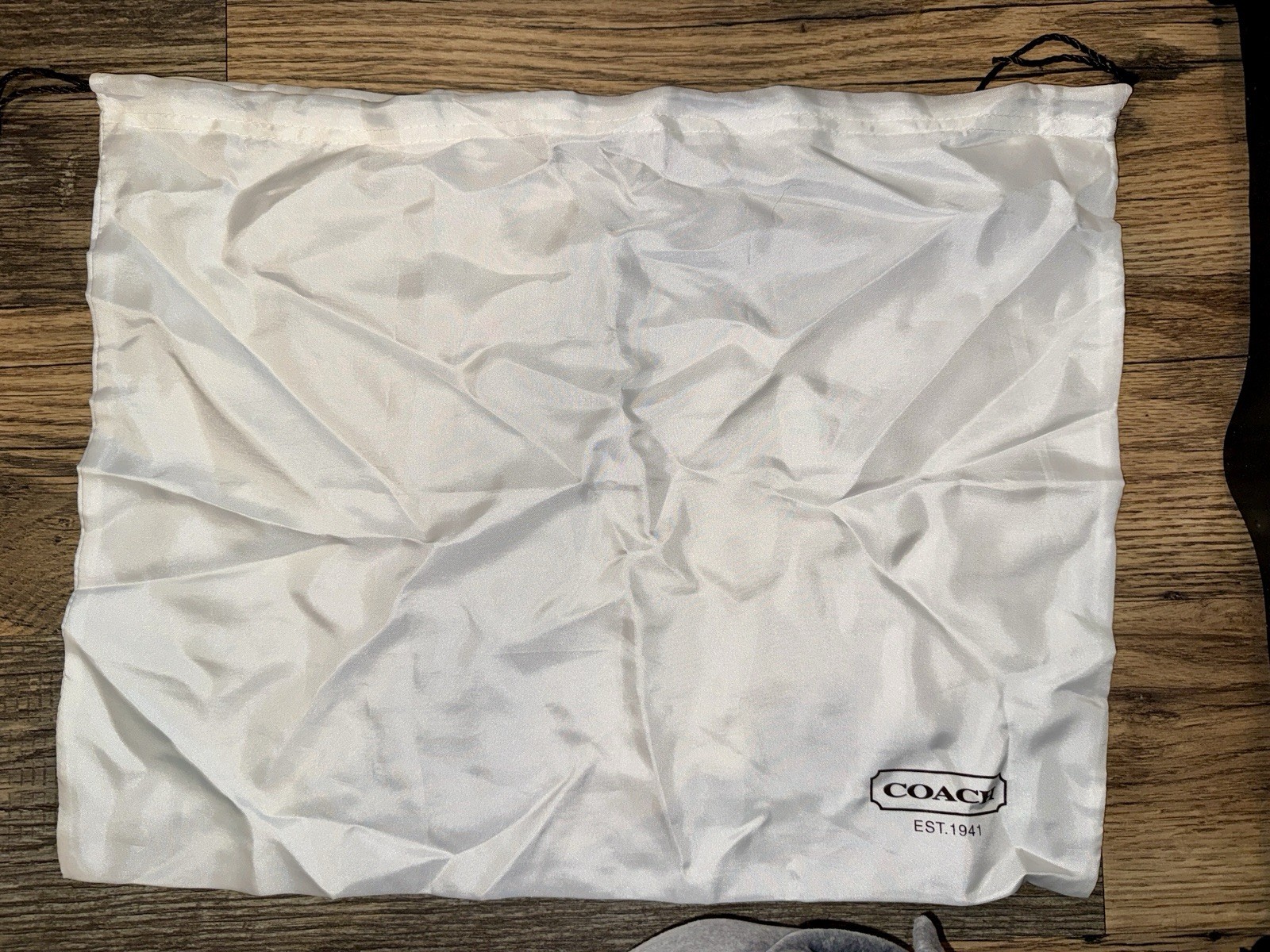 Coach White Solid Drawstring Dustbag Handbag Acce… - image 1