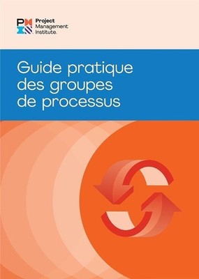 Process Groups: A Practice Guide (FRENCH) (Paperback)