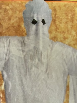 Ghost White  Robe adult one size costume Halloween Concepts by Rubie's