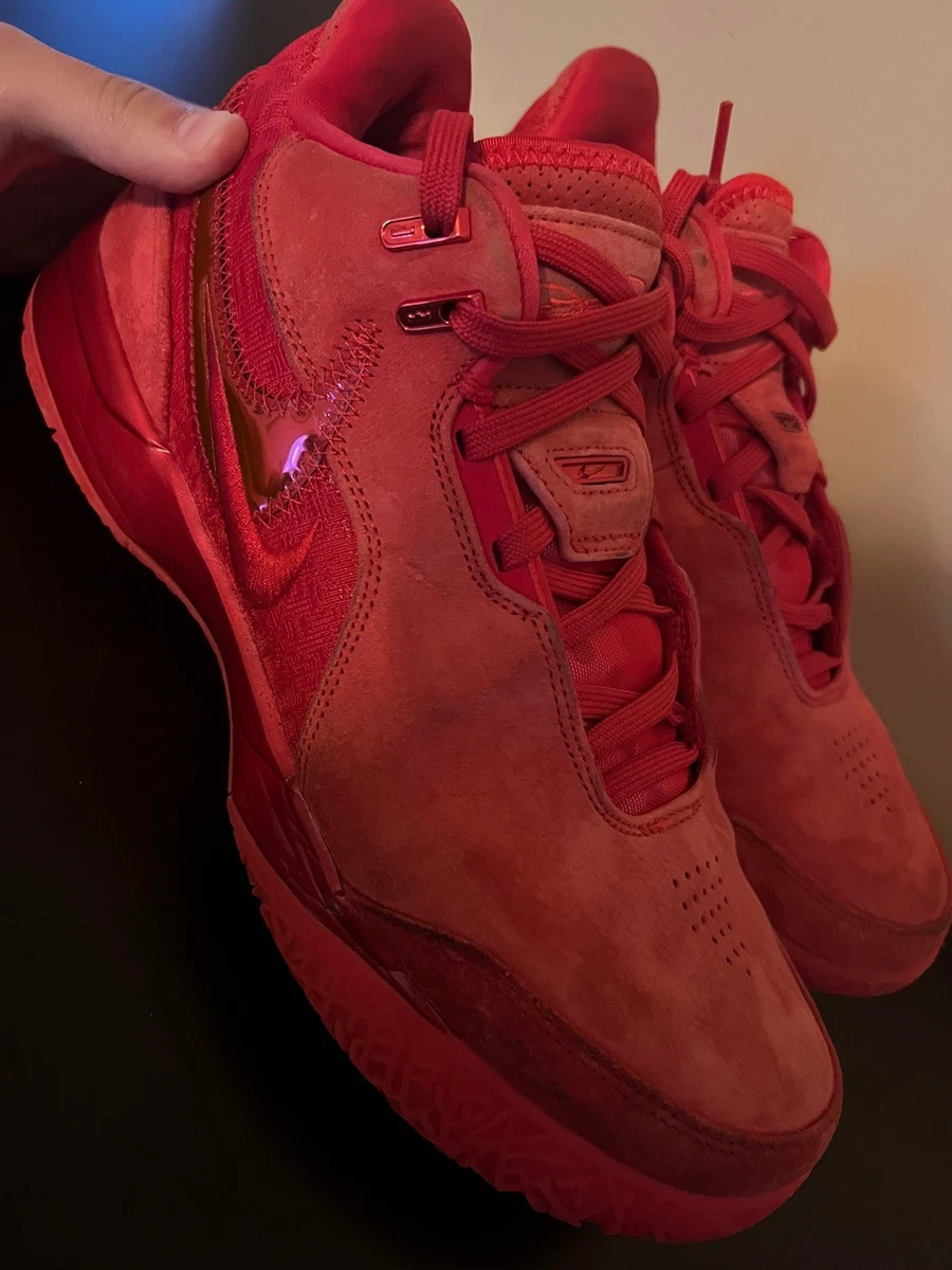 Nike Zoom LeBron NXXT Gen AMPD James Gang for Sale | Authenticity