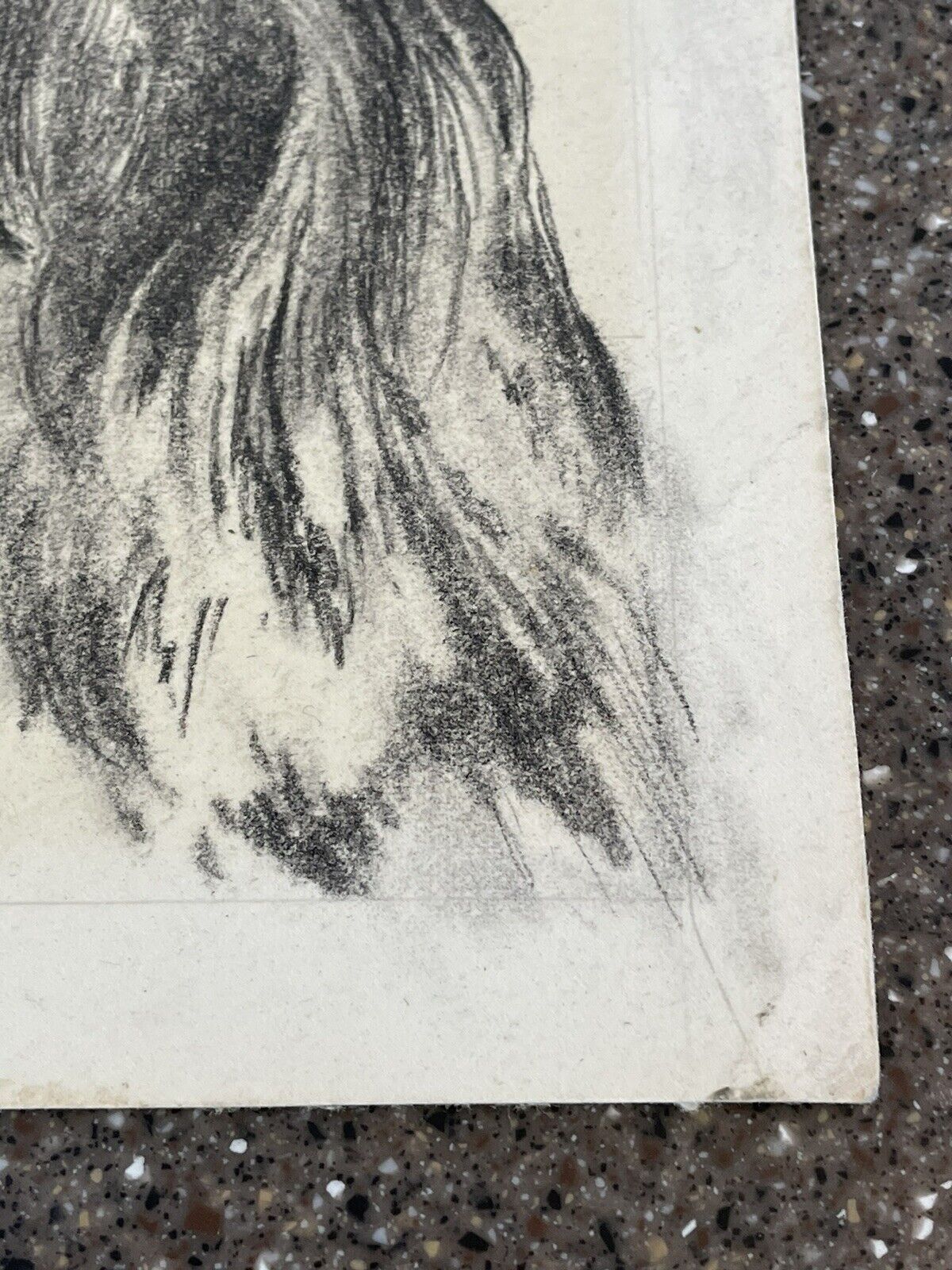 Bild 3 von 12