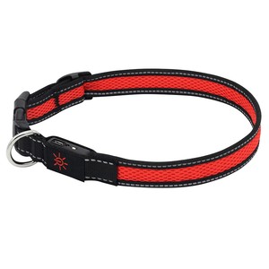 petbarn halti