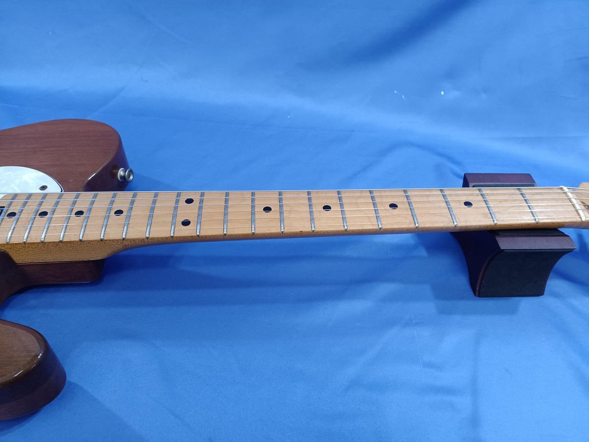 Aria Pro II TE-500 Thinline Telecaster Type Semi-Hollow Electric