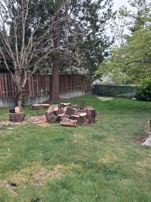 Good Firewood For Sale Please Buy