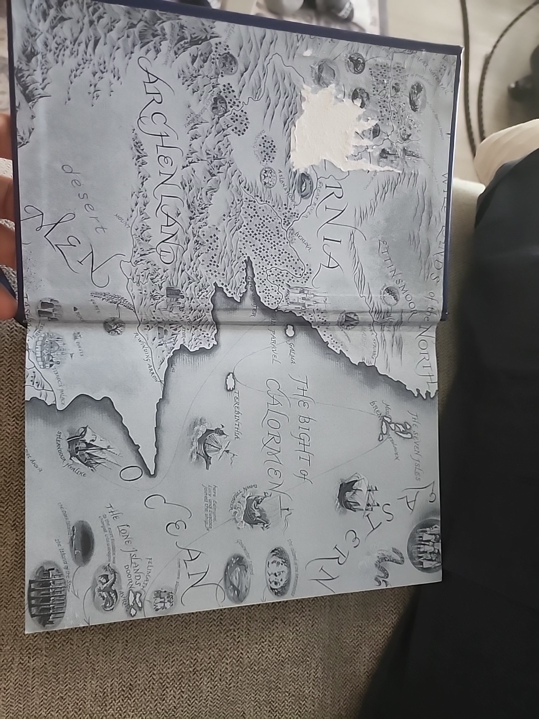 Picture 5 of 6