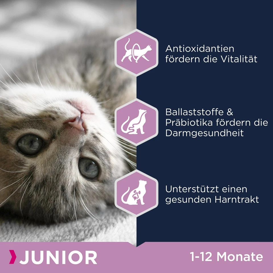 Junior Katzenfutter trocken - Premium Trockenfutter für Kitten von 1-12 Monat... - Bild 4 von 4