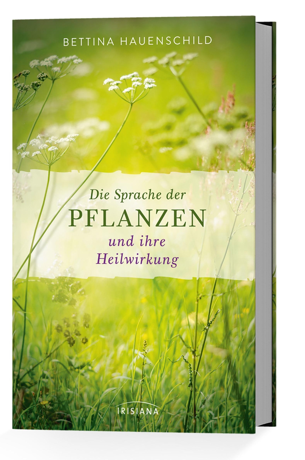 Thumbnail - Die Sprache Der Pflanzen Und Ihre Heilwirkung | Bettina Hauenschild |