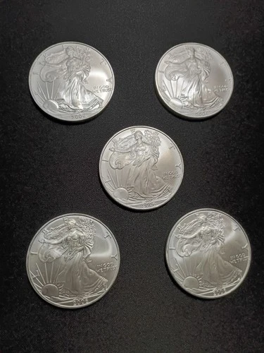 Lot Of 5 Walking Liberty American Eagle Fine Silver 1oz  2006 One Dollar Coins