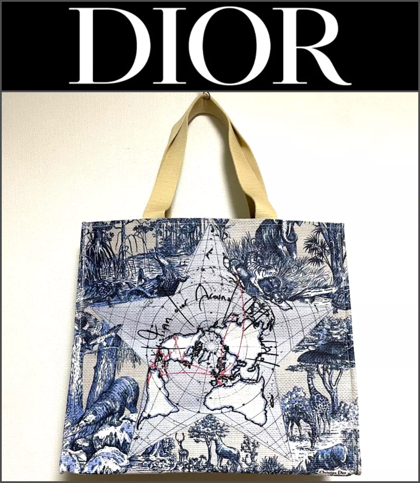 Sac fourre tout Christian Dior rituel beauté nouveauté papier paille étoile carte neuf 37 × 42 cm