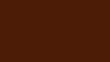 Sherpa Brown Solid Faux Fur Fabric by the Yard A614.17