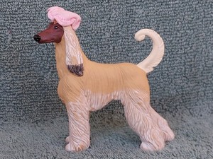 Kid Kore Afghan Hound with Pink Beret - Aproximately 25 Years Old!