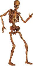 6 ft Jointed Skeleton Halloween Decoration Party Supply Hanging Prop