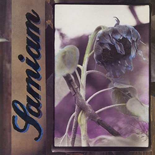 Samiam Samiam LP Vinyl NEW