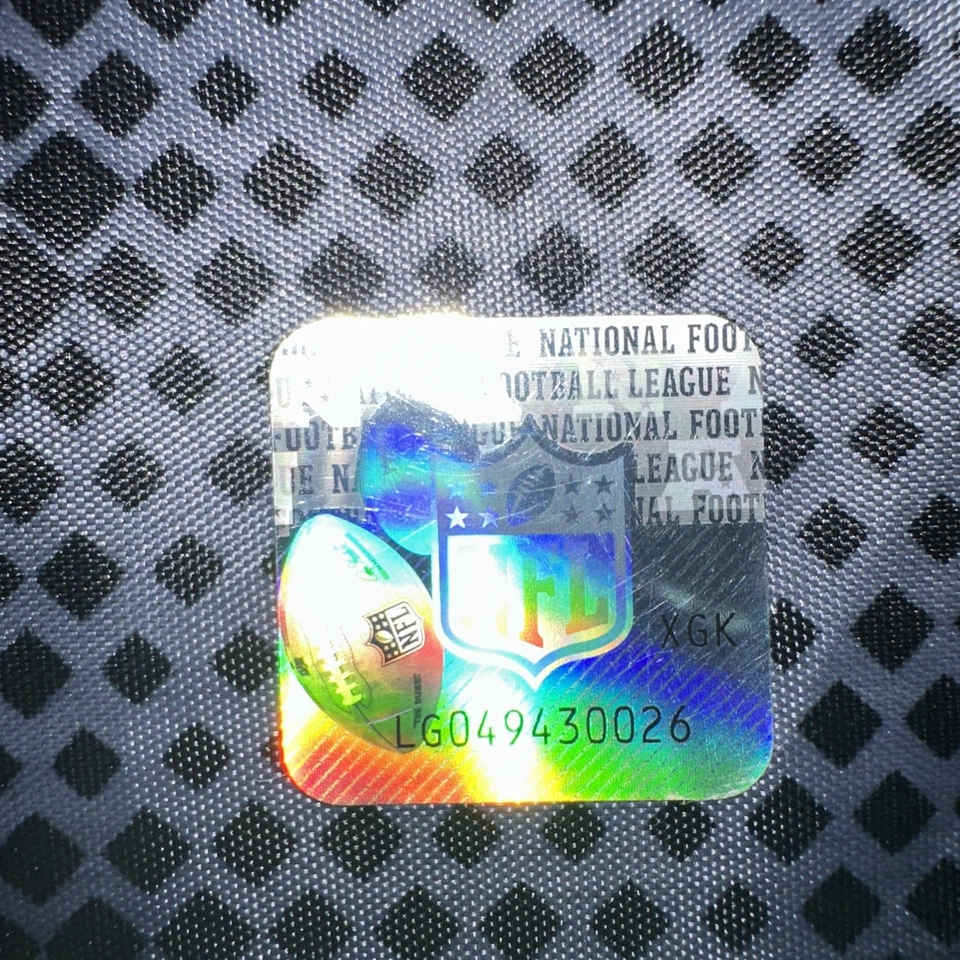 "Bandera del estadio del día del juego Washington Commanders Redskins Raise Hail 22"" X 17""" Foto 2 de 3