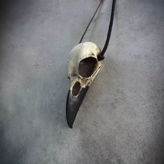 Real raven clearance skull necklace